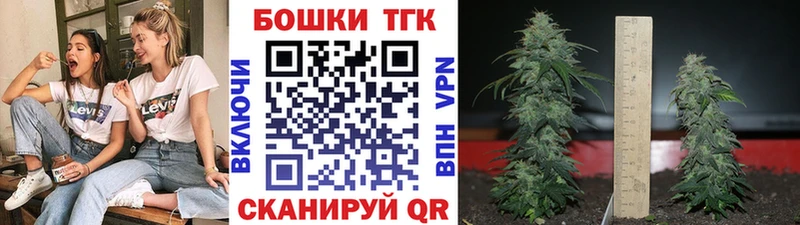 Шишки марихуана OG Kush  Купить  Светлогорск 